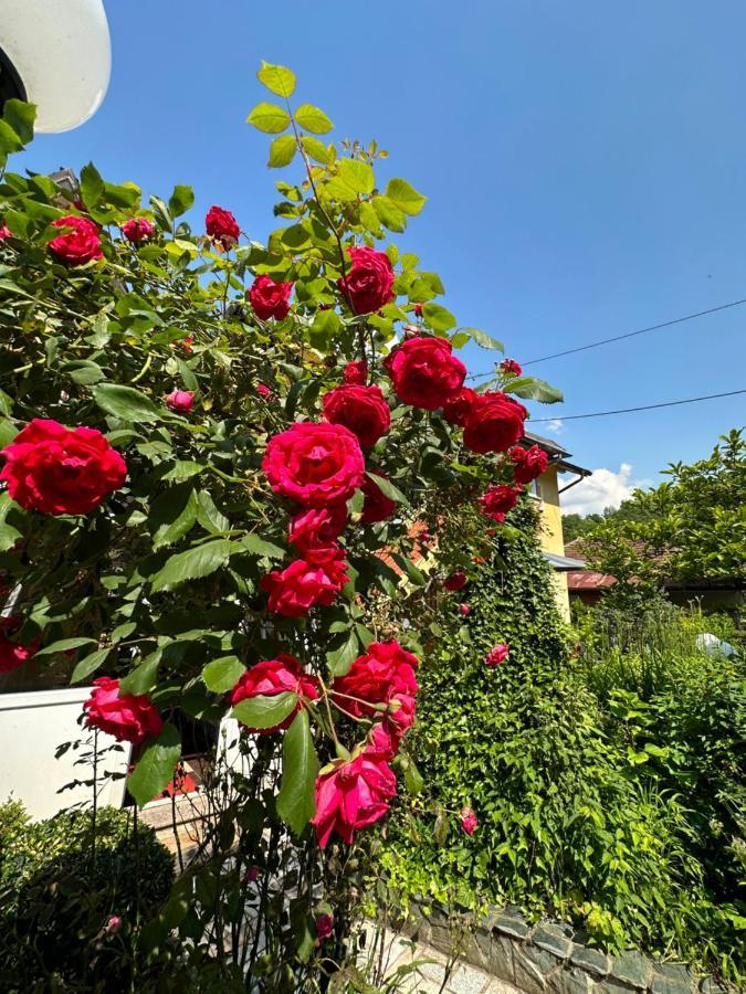 Beautiful House Overlooking Saraybosna Dış mekan fotoğraf